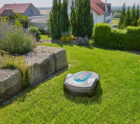 Une pelouse toujours impeccable