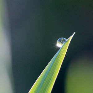 Le gazon améliore la qualité de l’eau - 1
