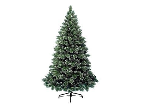 Comment choisir son sapin de Noël ?