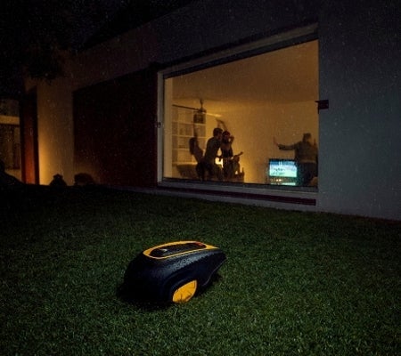 Une tonte par tous les temps